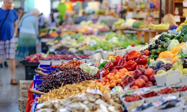 The fastest way from consumer to sustainable producer?